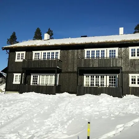 Daire Apartment Gaustablikk