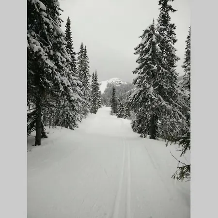 아파트 Apartment Gaustablikk Gaustablikk