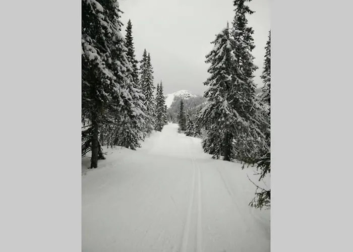 Lägenhet Apartment Gaustablikk Gaustablikk